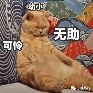 DƬ